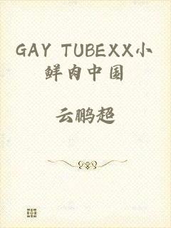 GAY TUBEXX小鲜肉中国